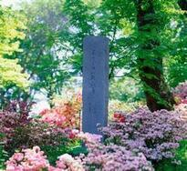 茶臼山公園2