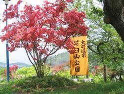 茶臼山公園1